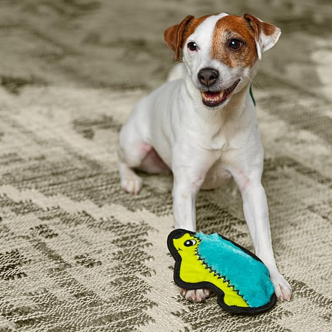 Outward Hound Durablez Minis – Squeaky Plush Dog Toy, No Stuffing for Less Mess, Interactive & Tough, Jumbo Squeaker, Puppies & Small Dogs, Hedgehog, 7"