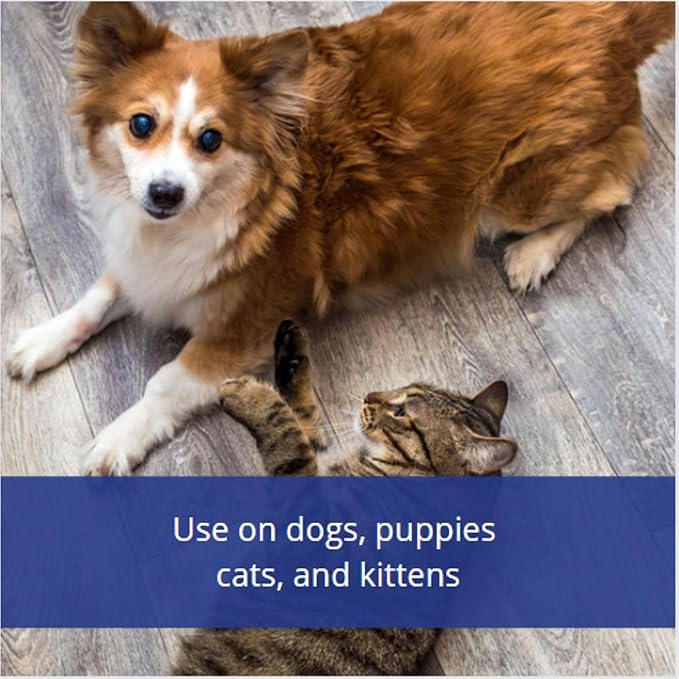 Farnam Flys-Off Insect Repellent for Dogs and Cats 6 Fluid Ounces (Pack of 2)