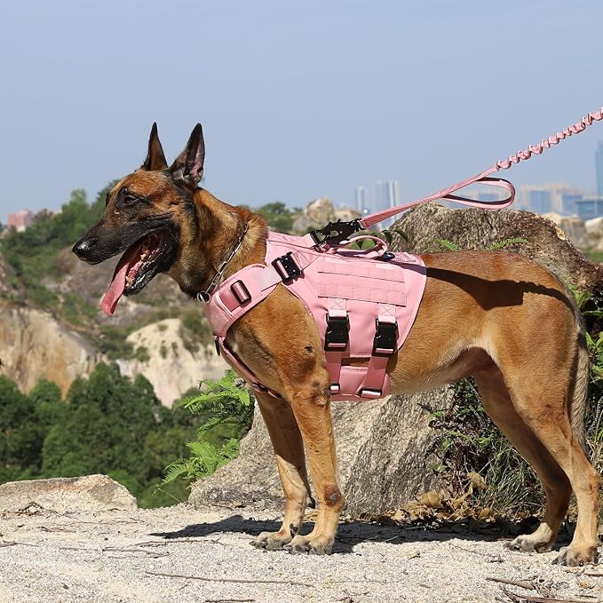 ICEFANG No Pull Tactical Dog Harness for X-Large Dogs,Adjustable Dog Vest | Control Handle,MOLLE Panel,Front Hook,3 Leash Clips,Soft Padded,for walking training,Pink,X-Large