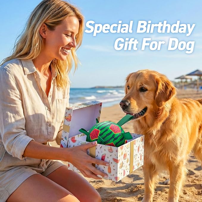 QDAN Dog Water Toys, Pool Toys for Dogs Swimming Beach Fun, Watermelon Ball for Summer Outdoor Games (7 inch)