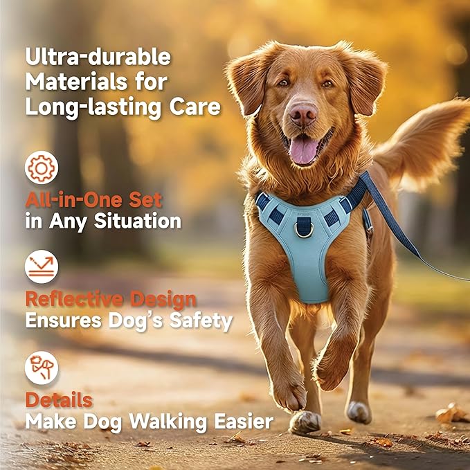 Dog Harness and Leash Set with Collar, No Pull Reflective Pet Vest Harness with Control Handle for Medium Large Dogs Walking and Training