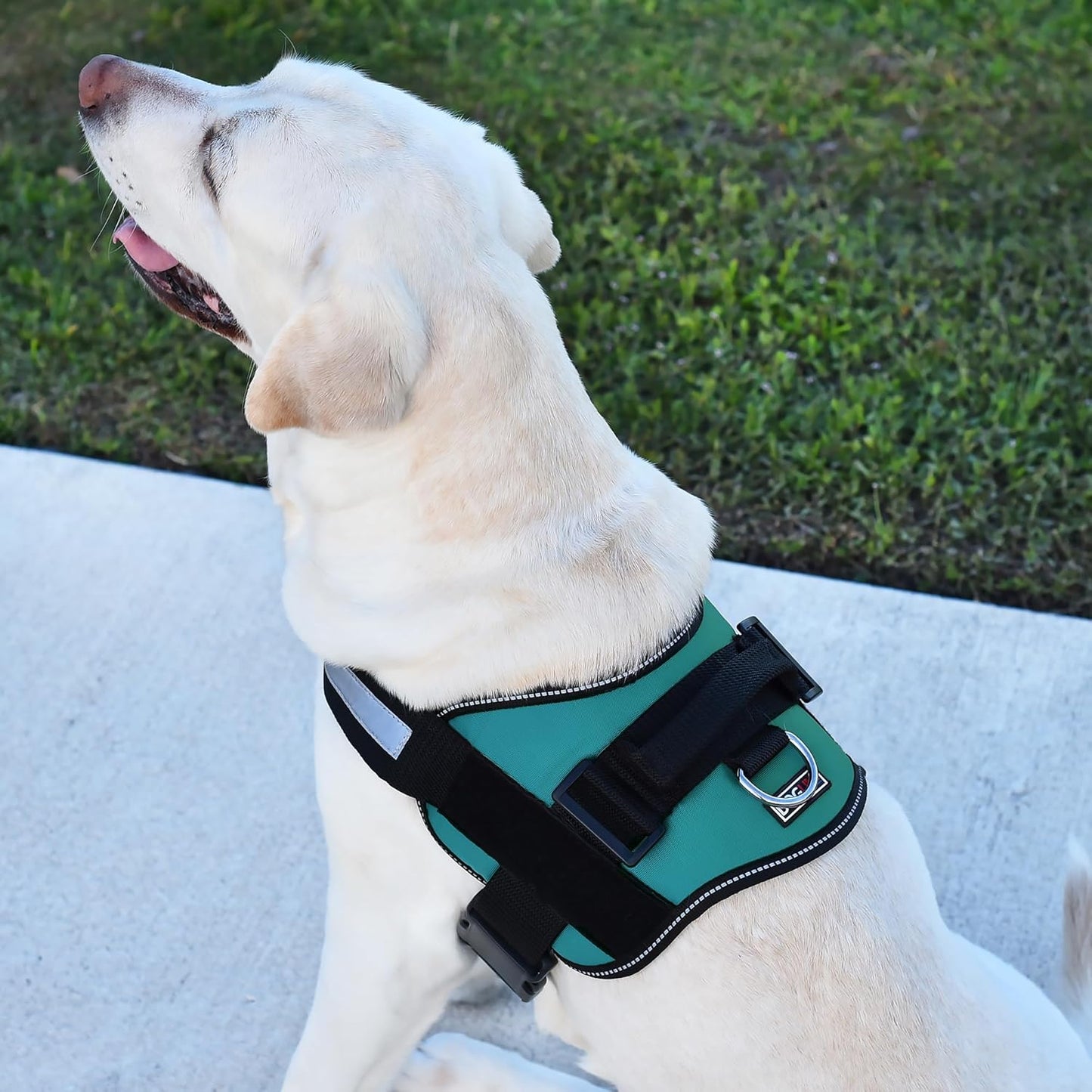 Dogline Dog Harness, Reflective No-Pull Adjustable Vest with Handle for Walking, Training, Breathable, No - Choke Harness for Small, Medium or Large Dogs Room for Patches Girth 22"-28" in Turquoise