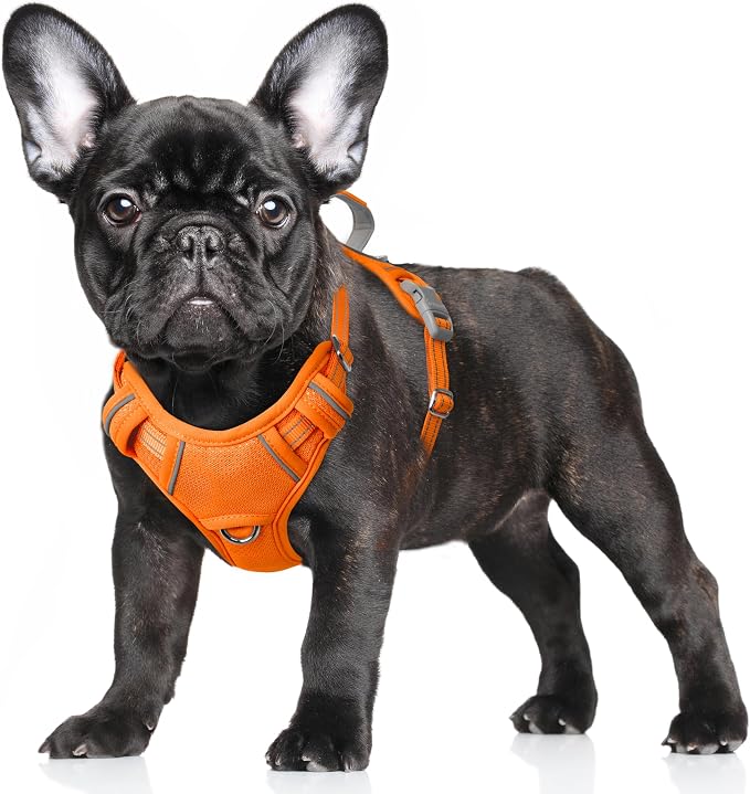 BARKBAY No Pull Dog Harness Large Reflective Dog Harness with Front Clip and Easy Control Handle for Walking Training Running with ID tag Pocket(Orange,S)