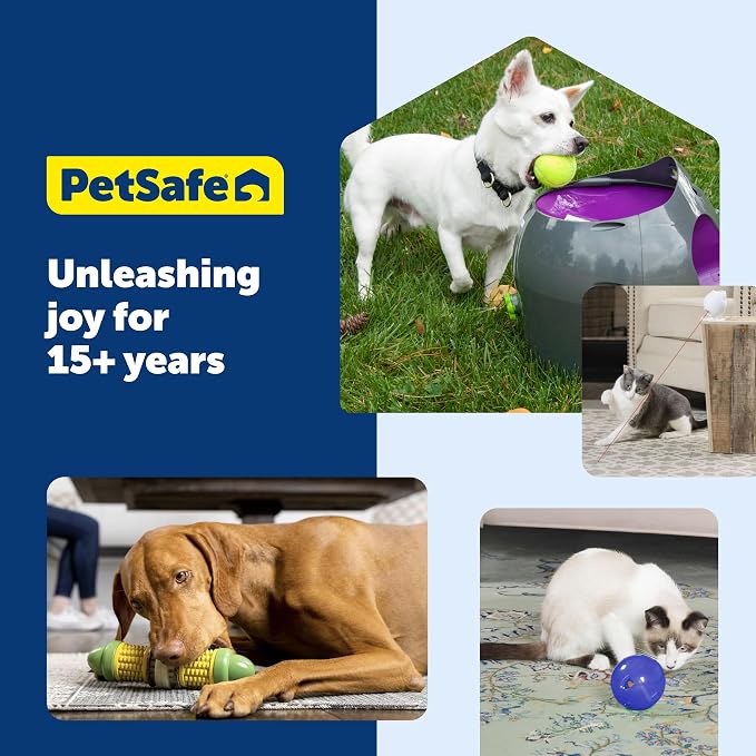 PetSafe Chilly Penguin - Freezable Dog Toy for Medium and Large Dogs - Fill and Freeze - Frozen Dog Toy to Fill with Treats - Interactive Pet Puzzle for Boredom or Separation Anxiety, ML (Pack of 2)