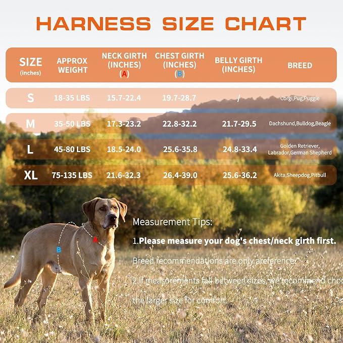 Dog Harness for Large Dogs, No Pull Tactical Vest with Front Clips | Easy Contrl Handle, Breathable Soft Padded, Adjustable, Reflective, Heavy Duty, Easy Take On & Off, Orange X-Large