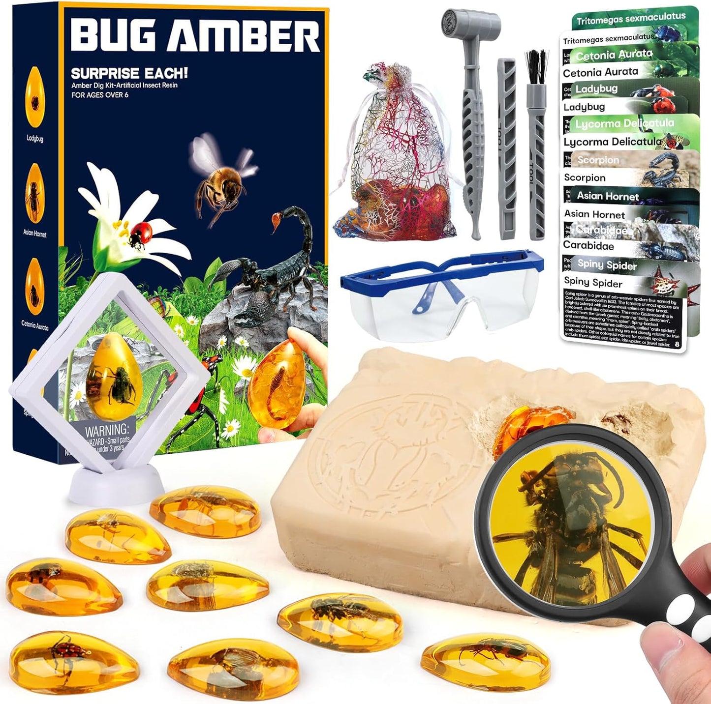 Amber Dig Kit - Insects in Resin, 8 Insects Specimens Excavation Kit, Gemstone Bugs for Kids, Fossil Bug Toys Dig Kits for Bugs Collection, Insect Toys for Boys Girls 6 and up Year Old Birthday Gifts