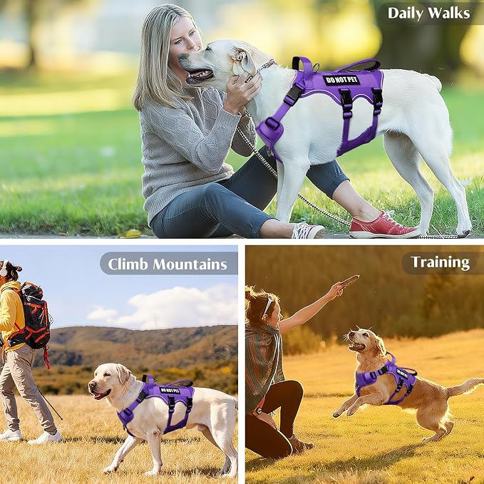 Escape Proof Dog Harness with Double Handle+4 Removable Patches | Service Working Molle Harness with Double Handle for Large Dogs, Tactical Pet Reflective Vest for Walking Hiking Hunting