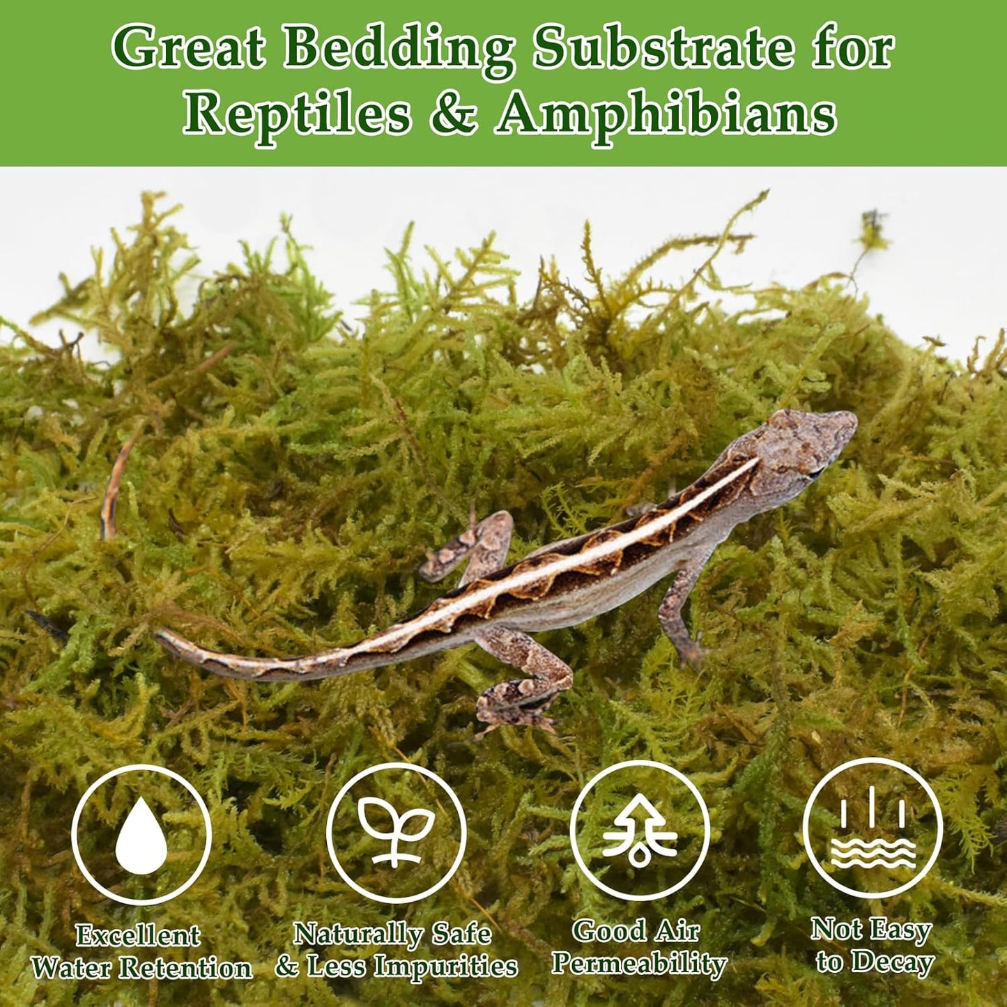 Halatool 12OZ Natural Sphagnum Moss for Reptiles- 18QT Green Live Moss for Terrarium Plants Long Fiber Reptile Moss for Leopard Gecko Snake Hamsters Tortoises Frogs Lizards Salamanders