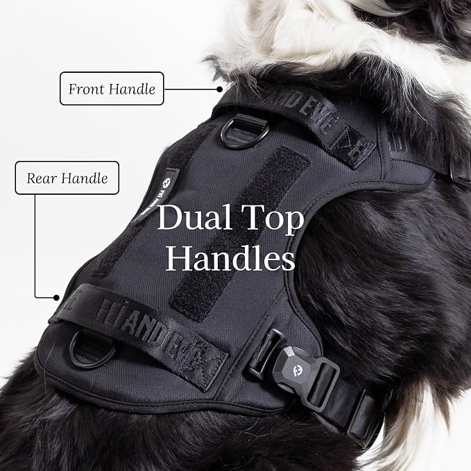 Fei & Eve Classic Dog Harness, MagEase Magnetic Buckle | 3-Point No-Pull Control, Dual Handle Support, 900D Nylon, Tactical Patch Panel, Heavy Duty, Large, Black