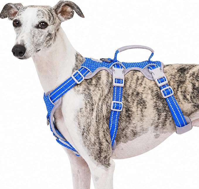 Escape Proof Dog Harness, No Pull Reflective Harness with Lift Handle,Adjustable Pet Vest with Front and Back Leash Clips for Small Medium Large Dogs Walking Hiking Training (Sea Blue,L)