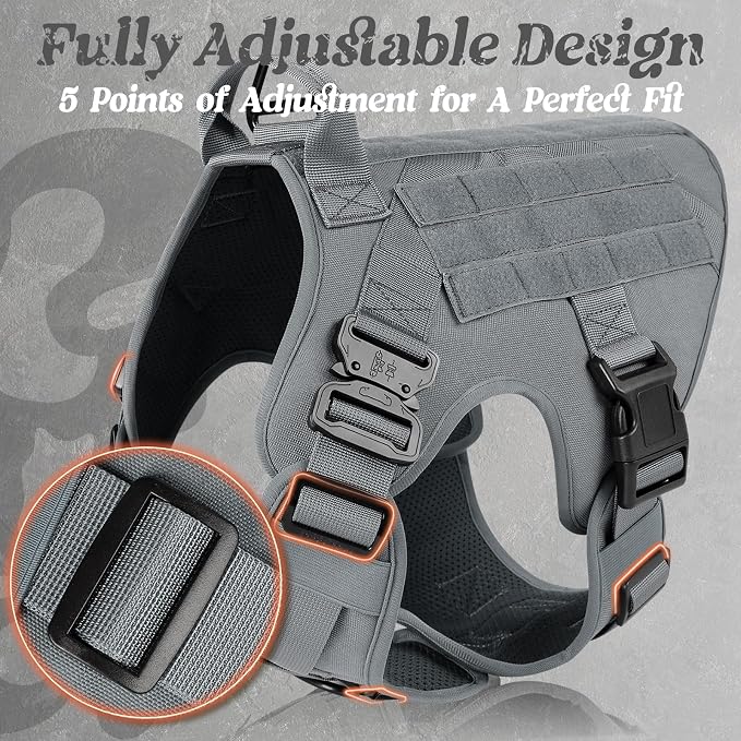 rabbitgoo Tactical Dog Harness for Small, Heavy Duty Military No Pull Vest | Sturdy Metal Buckles, 5 Adjustments, Molle System, Powerful Pullers for Training, Hunting, Outdoor, Grey, Small