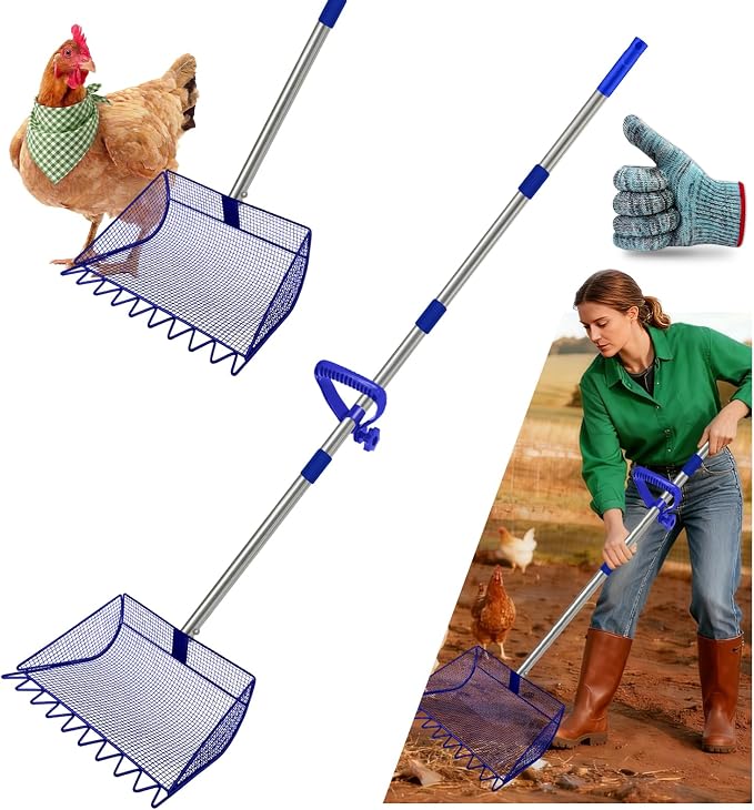 2-in-1 Chicken Coop Scooper: Extra Large 12” Poop Scooper & Rake with Adjustable Handle (37”-65”) | Heavy-Duty Metal Shovel for Quick Pet Waste, Rabbit, Guinea, Barn Cleaning | US Patent Pending, Blue