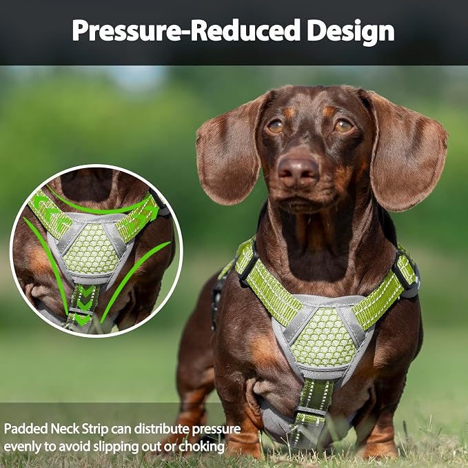 Escape Proof Dog Harness, Dachshund Harness, Reflective Dog Harness with Handle, Durable,Adjustable Vest for Small Medium Large Dogs Walking, Training, and Running Gear (Green,S)