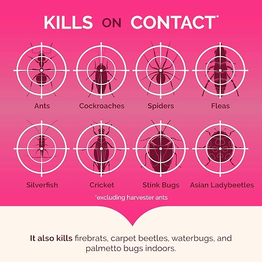 Hot Shot Ant, Roach & Spider Killer, Kills Roaches and Listed Ants On Contact, Indoor & Outdoor Use, (Unscented) 2 Pack, 17.5 Ounce