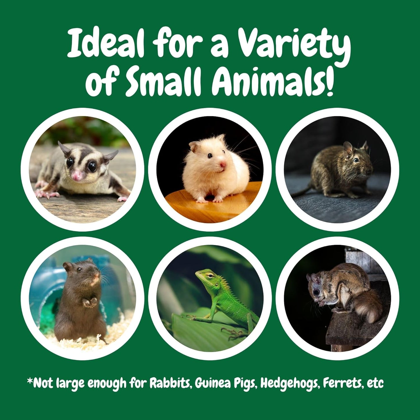 Exotic Nutrition Economy Carry Bonding Pouch (Black) - for Sugar Gliders, Squirrels, Marmosets, Hamsters, Rodents, Rats, Reptiles, & Other Small Pets