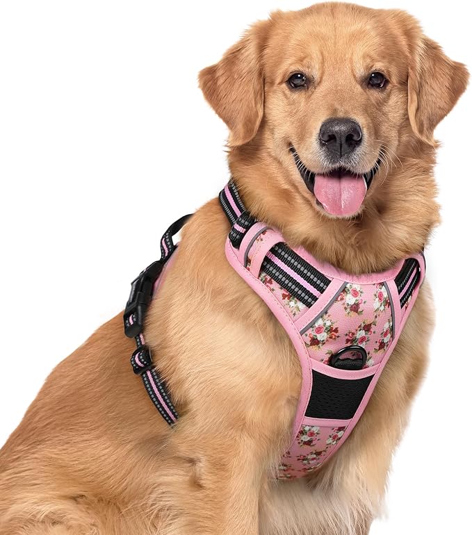 rabbitgoo Dog Harness, No Pull for Large Dogs with 2 Leash Clips, Pet Vest | No Choke with Handle, Adjustable Soft Padded, Reflective, Easy Control for Walking, Pink Rose, X-Large