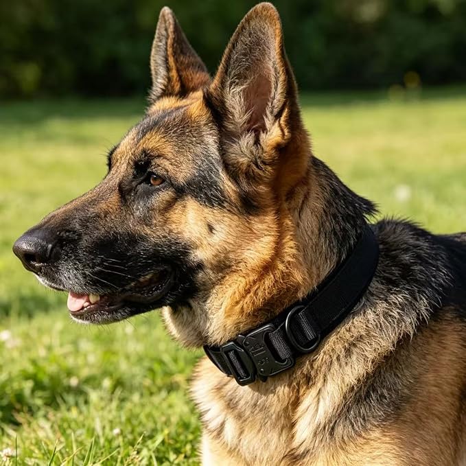 Tactical Dog Collar for Large Dogs with Control Handle,Black,M | Adjustable Fit,Heavy-Duty Quick-Release Metal Buckle,1000D Nylon Fabric,Soft-Padded Webbing,D-Ring,for Training & Hiking