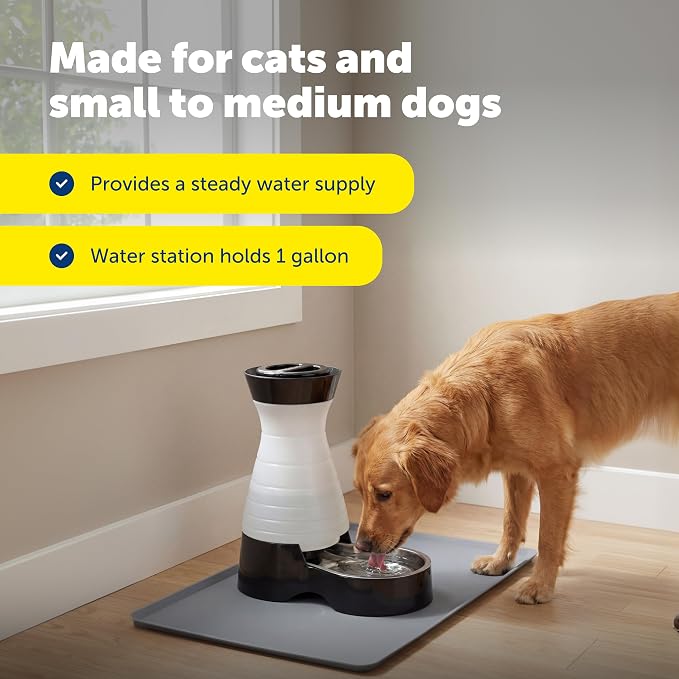 PetSafe Healthy Pet Food & Water Stations - Cat & Dog Food Storage Container - Filter Included with Waterer - Keeps Food & Water Fresh - Suitable for Small, Medium, & Large Dogs - Stainless Steel Bowl