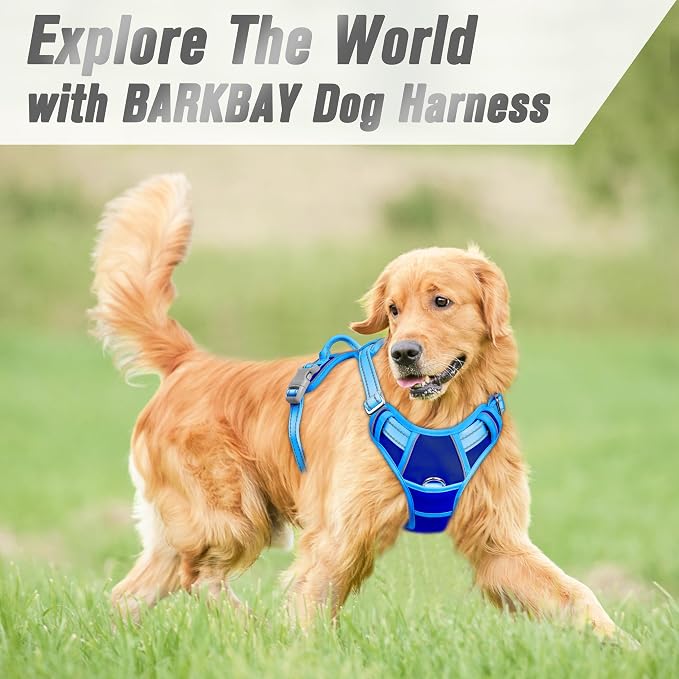 BARKBAY Dog Harness No Pull for Medium Sized Dog Front Back Clips,Dog Vest | Soft Padded No Choke With Handle,Easy On&Off,Adjustable Reflective For Walking Training Running(Sapphire Blue & Blue,M)