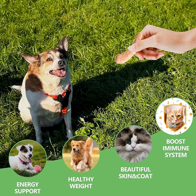 Freeze-Dried Raw Chicken Necks Dogs Treats- Single Ingredient High Protein Training Treats & Dental Chews - Grain Free, Gluten Free, 6.5 oz (Chicken Necks)