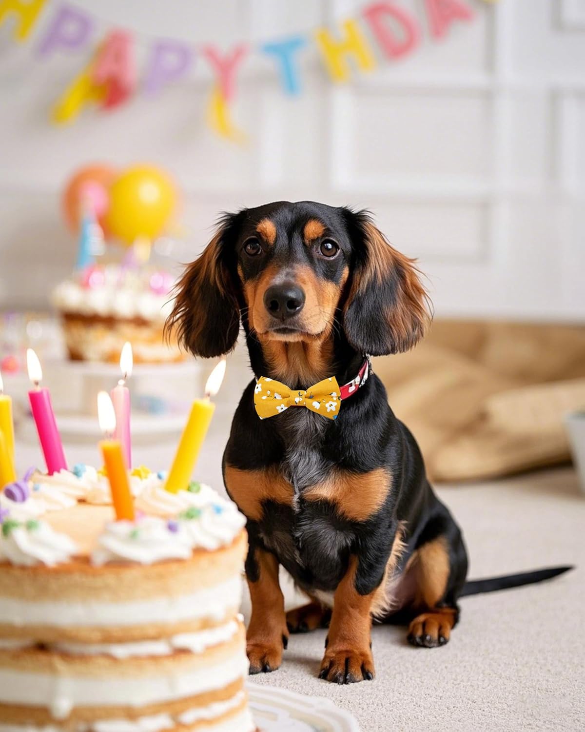 PET SHOW 10 Pack Floral Small Dog Bow Ties Sliding Collar Attachments Puppy Cats Spring Bowties for Medium Dogs Daisy Rose Bowknots Party Holiday Pet Grooming Accessories