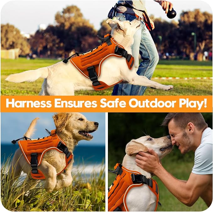 Heavy-Duty Tactical Dog Harness for Large Dogs, No Pull Adjustable Reflective Pet Vest with Molle System, K9 Military-Grade Control for Service Training, Outdoor & 10+ Breeds, Orange, Small