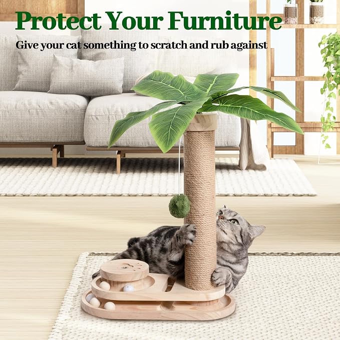 Meowoou Cat Scratching Post Cat Scratcher Interactive Toy with Dangling Ball for Indoor Kitten 2 Layer Base Wooden Ball Track 17.7" Tall Modern Sisal Scratch Pole