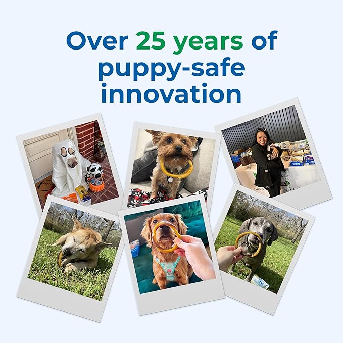 N-Bone Puppy Teething Rings, Grain-Free Chicken Flavor, 6 ct