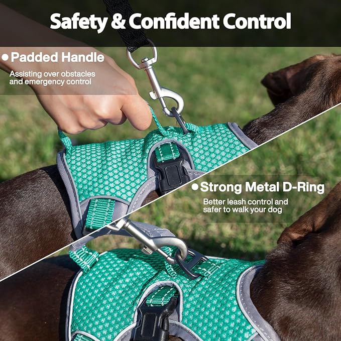 Escape Proof Dog Harness, Dachshund Harness, Reflective Dog Harness with Handle, Durable,Adjustable Vest for Small Medium Large Dogs Walking, Training, and Running Gear (Mint Green,XL)