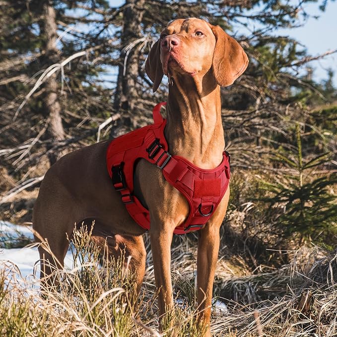 rabbitgoo Tactical Dog Harness for Large, Heavy Duty Military No Pull Vest | Sturdy Metal Buckles, 5 Adjustments, Molle System, Powerful Pullers for Training, Hunting, Outdoor, Red, Large