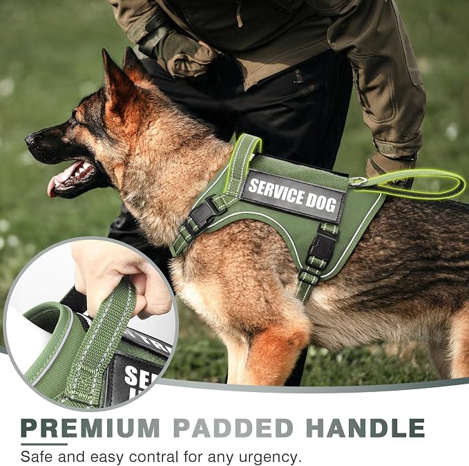 Tactical Dog Harness, No Pull Dog Harness for Medium Large Dogs with Handle & Molle, Military Service Dog Vest Harness in Training Pet Harness for Small Dogs