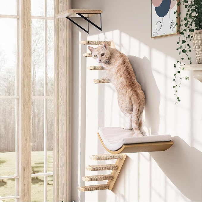 Cat Wall Stairs and Wall Shelves, 4 Piece Wood Cats Furniture Set, Padded Curved Bed with Foam, Flat Shelf & Climbing 4 Steps Stairs for Large Indoor Cats