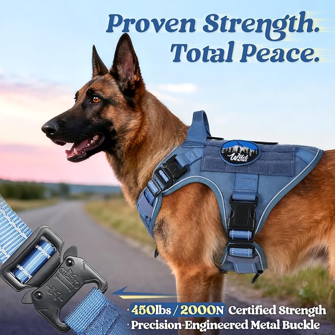 rabbitgoo Tactical Dog Harness X-Large, Heavy Duty Military No Pull Vest | Sturdy Metal Buckles, 5 Adjustments, Molle System, Powerful Pullers for Training, Hunting, Outdoor, Blue Reflex, X-Large