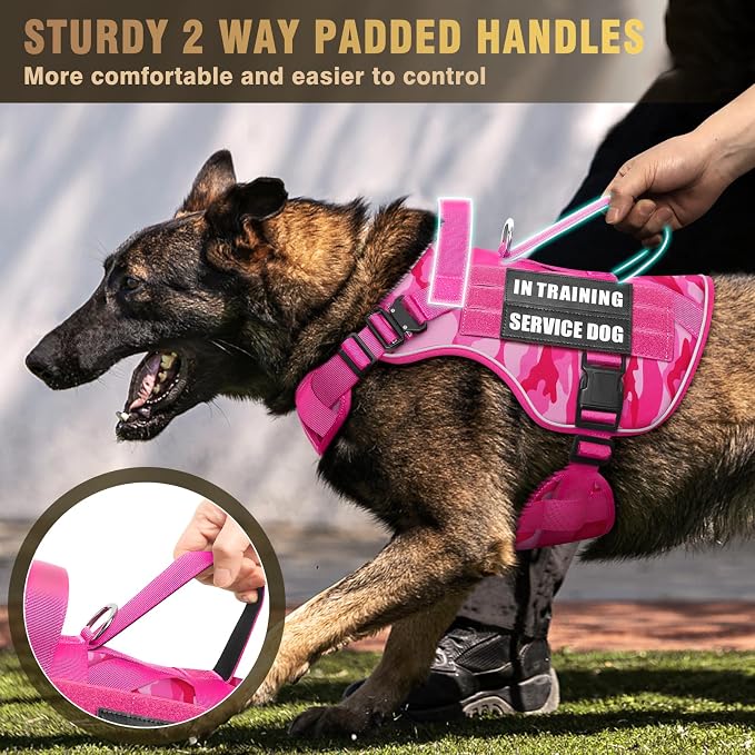2X Metal Buckle Service Working MOLLE Dog Vest with 10 Pet Patches | Tactical Dog Harness for Medium Dog, No-pull Military Working Vest for Training Hunting Walking，2x D Rings for Leash Clip
