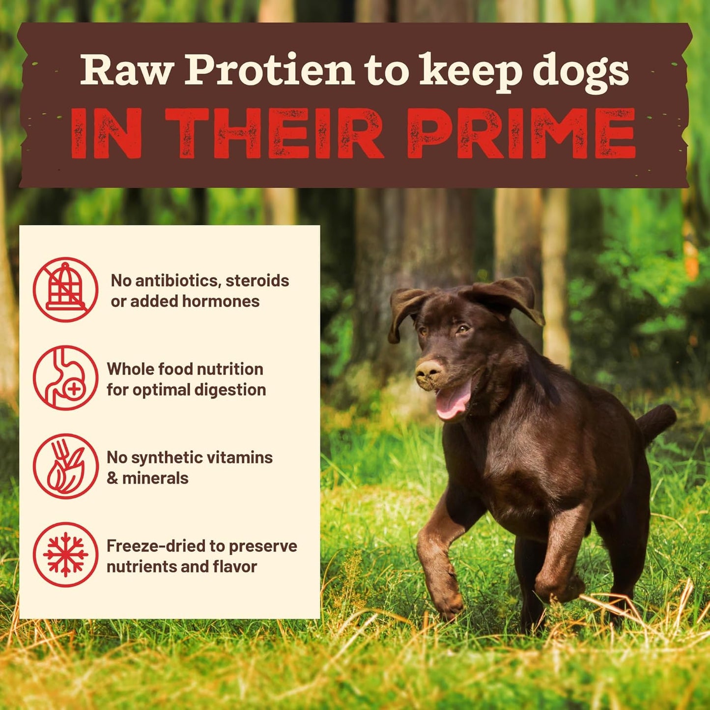 Primal Kibble in The Raw, Freeze Dried Dog Food, Chicken, Scoop & Serve, Made with Raw Protein, Whole Ingredient Nutrition, Crafted in The USA, Dry Dog Food 1.5 lb Bag