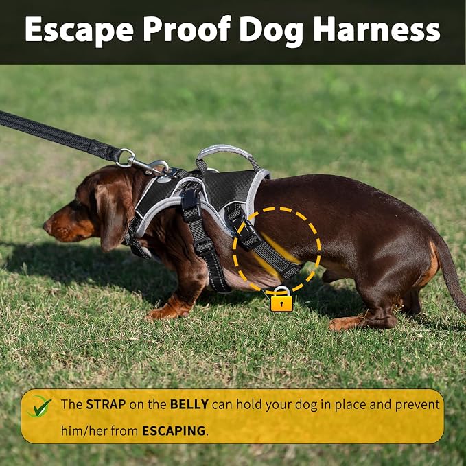 Escape Proof Dog Harness, Dachshund Harness, Reflective Dog Harness with Handle, Durable,Adjustable Vest for Small Medium Large Dogs Walking, Training, and Running Gear (Black,XL)