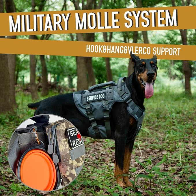Service Dog Vest for Large Dogs, Grey Tactical Harness with Military MOLLE, Breathable Mesh & 39g Metal Buckle - Size L for Training & Hiking