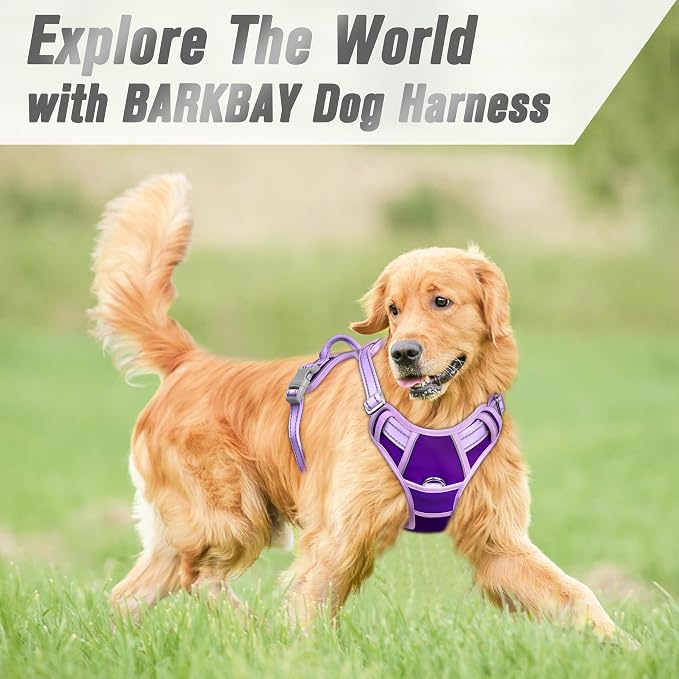 BARKBAY Dog Harness No Pull for Medium Sized Dog Front Back Clips,Dog Vest | Soft Padded No Choke With Handle,Easy On&Off,Adjustable Reflective For Walking Training Running(Violet Purple & Purple,M)