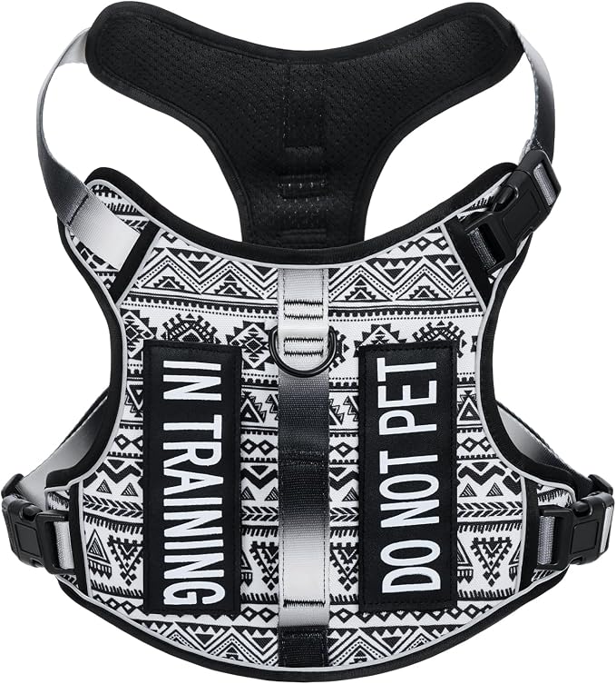 Light Dog Harness for Small Sized Dog Breeds, No-Pull Pet Harness with 2 Leash Clips, Adjustable Soft Padded Dog Vest, Reflective Pet Oxford Vest, Puggle, Terriers, Beagle, Black Ethnic S