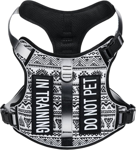 Light Dog Harness for Small Sized Dog Breeds, No-Pull Pet Harness with 2 Leash Clips, Adjustable Soft Padded Dog Vest, Reflective Pet Oxford Vest, Puggle, Terriers, Beagle, Black Ethnic S