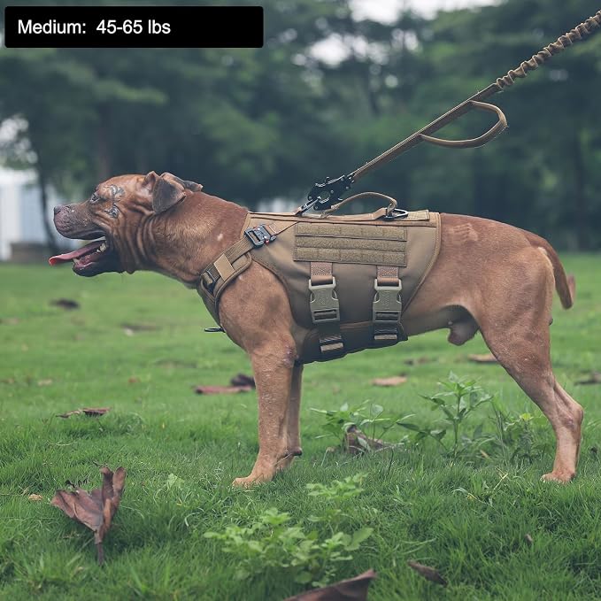 ICEFANG No Pull Tactical Dog Harness for Medium Dogs,Adjustable Dog Vest | Control Handle,MOLLE Panel,Front Hook,3 Leash Clips,Soft Padded,for walking training,Brown,Medium