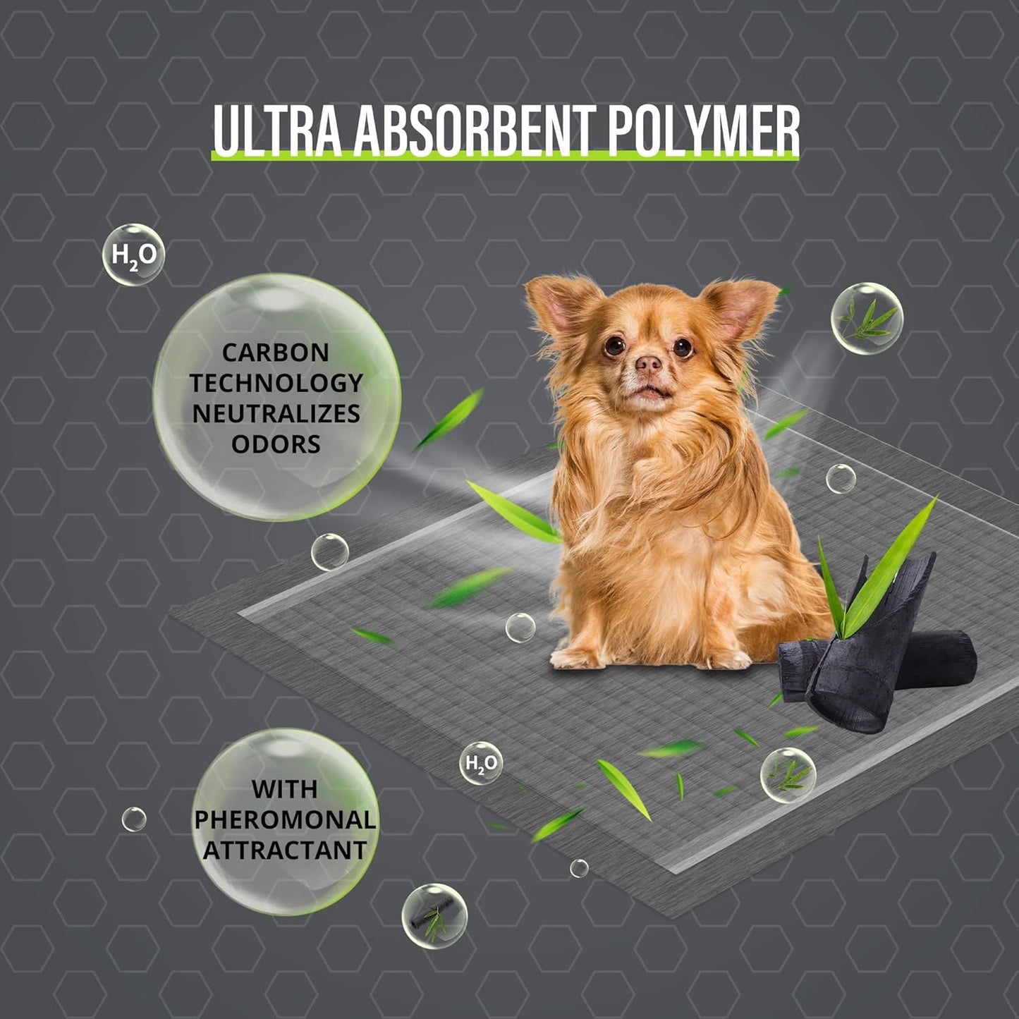 COCOYO Dog Training Pads Giant Size丨Carbon Absorb Eliminating Urine Odor Puppy Pads 丨 Premium Charcoal Dog Pee Pads (30 Count, XXXL 30x45 inch)