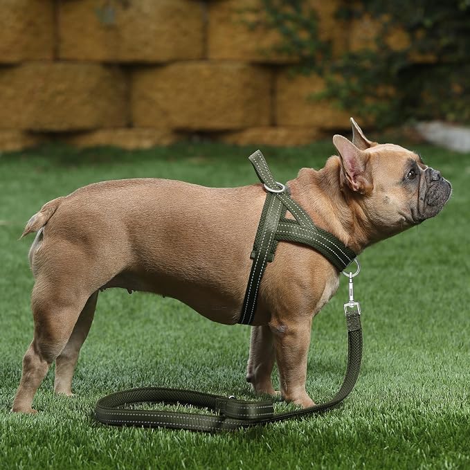 Plutus Pet No Pull Dog Harness for Medium Sized Dog, Breathable Mesh Padded | Adjustable Reflective with Handle, Escape Proof, Quick Fit Pet Vest, Front Clip, for Training and Walking, Ranger Green, M