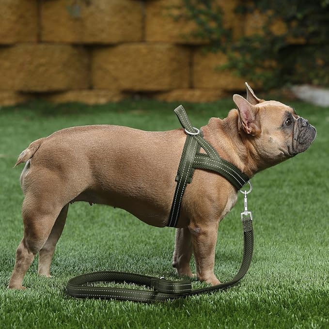 Plutus Pet No Pull Dog Harness for Large Dogs, Breathable Mesh Padded | Adjustable Reflective with Handle, Escape Proof, Quick Fit Pet Vest, Front Clip, for Training and Walking, Ranger Green, XL