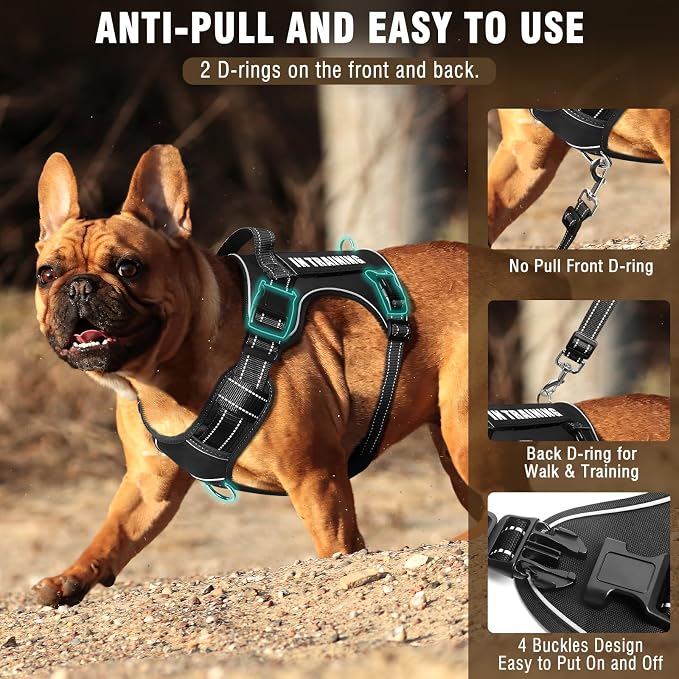 Tactical Dog Harness and Leash Set Medium Sized Dog+10 Dog Patches | Adjustable No Pull Service Animal Dog Vest with Dog Seat Belt,Padded Handles,Reflective Easy Walk for Training Hiking Black M