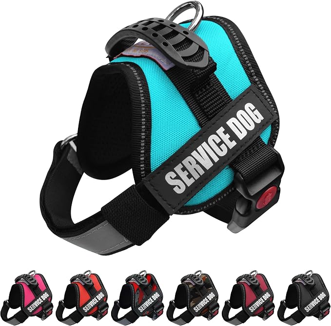 Service Dog Vest Harness – Reflective Service Animal Vest, No-Pull Harness with Handle & Mesh Padding – Sizes XXS-XL for Puppies – 2 Removable Service Patches Included (Small, Blue)