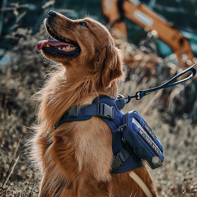 OneTigris Tactical Dog Harness with Handle No-Pull Adjustable for Small Dog | Military 1000D Pullable Nylon, Service Dog Vest with Hook & Loop Panels, Easy On & Off for Walking Hiking Training Blue XS