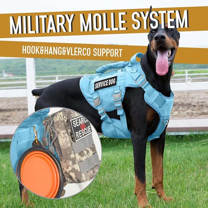Service Dog Vest for Large Dogs, Blue Tactical Harness with Military MOLLE, Breathable Mesh & 39g Metal Buckle - Size XL for Training & Hiking