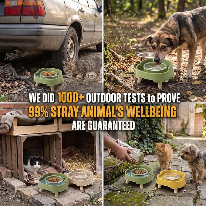 Ant Not Cross Elevated Cat Bowls Mess Proof-2 Food Grade Glass Bowls & 1 Lids- No Spill Cat Food and Water Feeding Station for Cats&Puppy Indoor & Outdoor,No Whisker Fatigue Dish,Beige