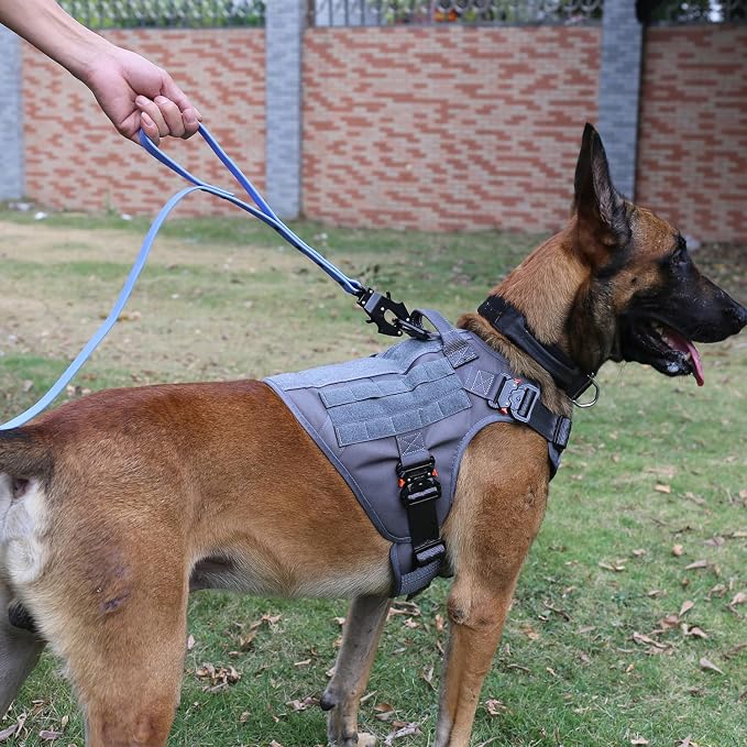 ICEFANG Tactical Dog Harness for Medium Dogs,Full Metal Buckles Dog Vest | with MOLLE, Reflective,Adjustable,2 Leash Clips,Control Handle,No Pull,Soft Padded,Grey,Medium